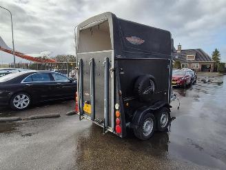  -  Thiel Pico 2013/9