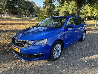 skadebil auto Skoda Octavia  2019/1