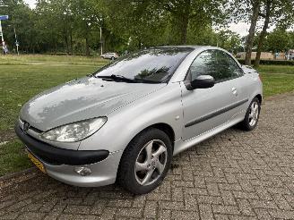 Auto incidentate Peugeot 206  2002/1