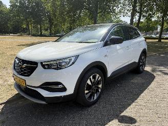 Avarii autoturisme Opel Grandland X 2018/1