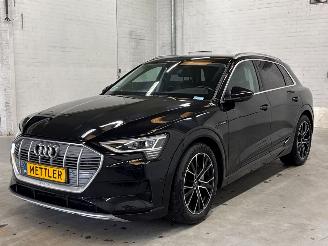  Audi E-tron 50 quattro SUV  Elektrisch  230kW (313pk) 4x4 2019 2019/12