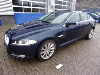 skadebil auto Jaguar XF 2.2 D SCHADEVRIJ 2012/6