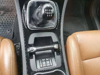 Ford Galaxy 2.0 TDCi Lease Platinum 7 zitplaatsen picture 18