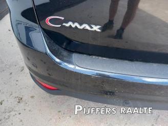 Ford Grand C-Max Grand C-Max (DXA), MPV, 2010 / 2019 1.0 Ti-VCT EcoBoost 12V 125 picture 22