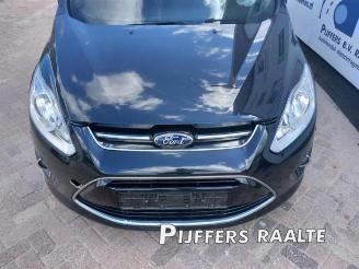 Ford Grand C-Max Grand C-Max (DXA), MPV, 2010 / 2019 1.0 Ti-VCT EcoBoost 12V 125 picture 8