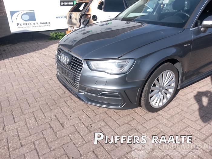 Audi A3 A3 Sportback (8VA/8VF), Hatchback 5-drs, 2012 / 2020 1.4 TFSI 16V e-tron