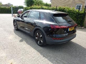 Audi E-tron 50 QUATTRO EDITION picture 3