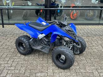  Yamaha  Raptor YFM 90 2012/1