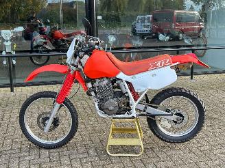 Honda XR 600  picture 6