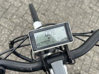 Trek  Ebike picture 12