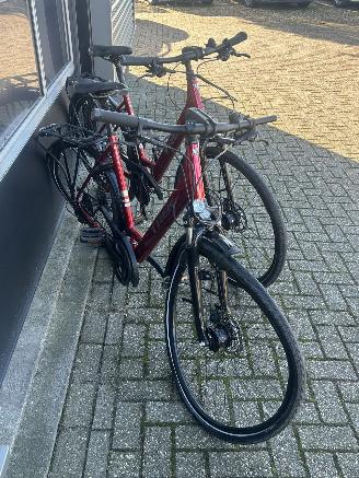 Trek  2x Verve 2 EQ Lowstep picture 3