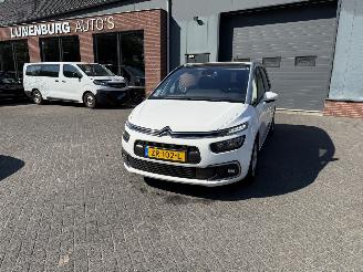 Avarii autoturisme Citroën C4 SpaceTourer -7 PERSOONS 1.2 PureTech Business 2019/7