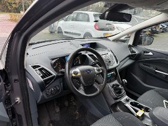 Ford C-Max 1.0 Titanium (MPV 5-dr.) picture 21