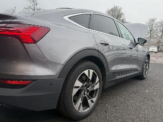 Audi E-tron 55 quattro edition 95 kWh  PANORAMADAK picture 41