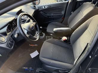 Ford Fiesta 1.0 EcoBoost Hot Hatch (Hatchback 5-dr.) picture 22