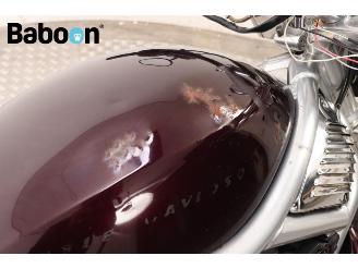 Harley-Davidson  VRSCR Street Rod picture 13