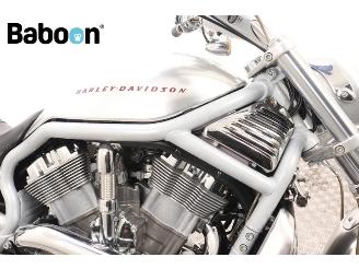 Harley-Davidson  VRSCA V-Rod picture 12