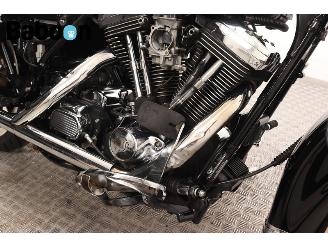 Harley-Davidson  FLHR Road King picture 15