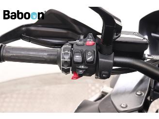 BMW R 1250 GS Adventure 40 Years Edition picture 16