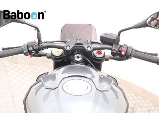 BMW S 1000 R  picture 15