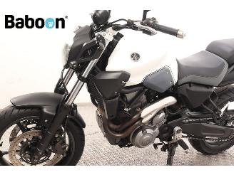 Yamaha MT-03  picture 20