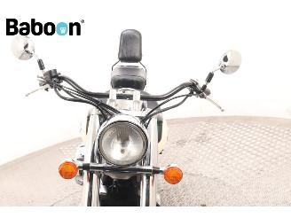 Honda VT 750 C2 Shadow Ace picture 21