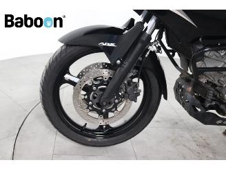 Suzuki DL 650 V-Strom ABS picture 21