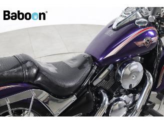 Kawasaki VN 800 Vulcan Classic picture 13