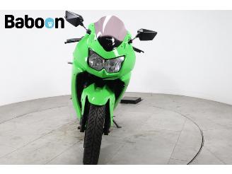 Kawasaki Ninja 250 R  picture 7
