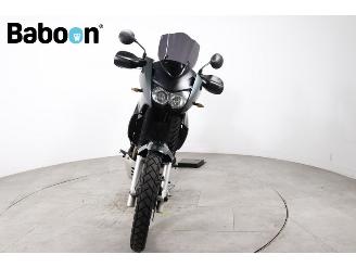 Kawasaki KLE 500  picture 7