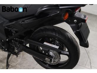 Suzuki DL 650 V-Strom ABS picture 21