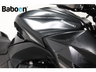 Kawasaki Z 800 ABS e-version picture 18