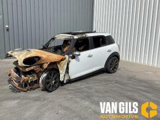 Mini Countryman  picture 6