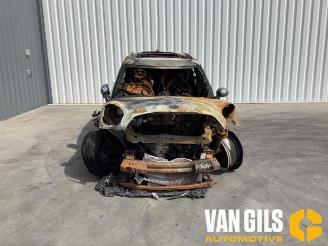 Mini Countryman  picture 5