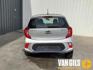 Kia Picanto Picanto (JA), Hatchback, 2017 1.0 12V picture 1