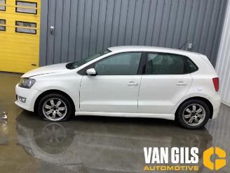 Volkswagen Polo Polo V (6R), Hatchback, 2009 / 2017 1.2 TDI 12V BlueMotion picture 14