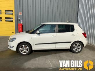  Skoda Fabia  2012/8
