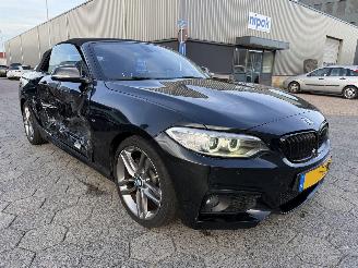 BMW 2-serie Cabrio 220i Centennial High Executive picture 3