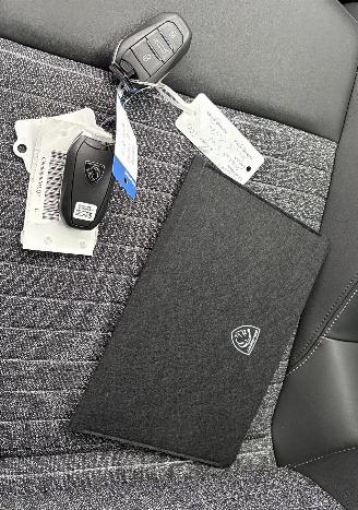 Peugeot 3008 e-3008 Allure Avantage 210 73 kWh NIEUW! 267km picture 24