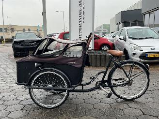 dommages vélos Overige  Johnny Loco E-Cargo Cruiser 5.3 2017/12