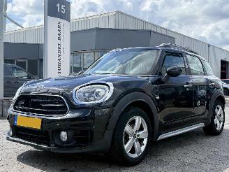 Schadeauto Mini Countryman 1.5 AUTOM Cooper  Edition AUTOMAAT 2019/5