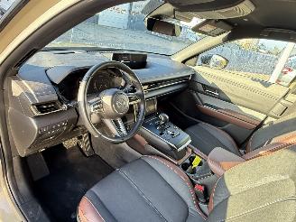 Mazda MX-30 e-SkyActiv R-EV 170 Makoto picture 15