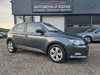 Tweedehands auto Skoda Fabia 1.2 TSI Ambition AUTOMAAT CRUISE PDC 2016/11