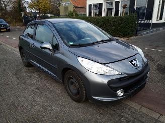 disassembly passenger cars Peugeot 207 1.4 2008/1