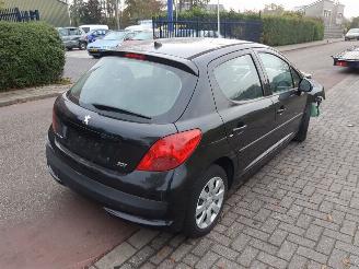 Peugeot 207  picture 4