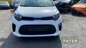 Kia Picanto Picanto (JA), Hatchback, 2017 1.0 DPi 12V picture 2