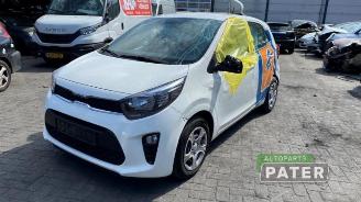 demontáž osobní automobily Kia Picanto Picanto (JA), Hatchback, 2017 1.0 DPi 12V 2023/10