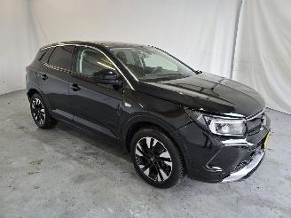 Damaged car Opel Grandland 1.6 TurboHy Level 3 2023/9