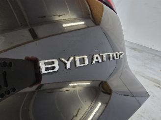 BYD  Atto 2 picture 23