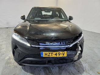 BYD  Atto 2 picture 2
